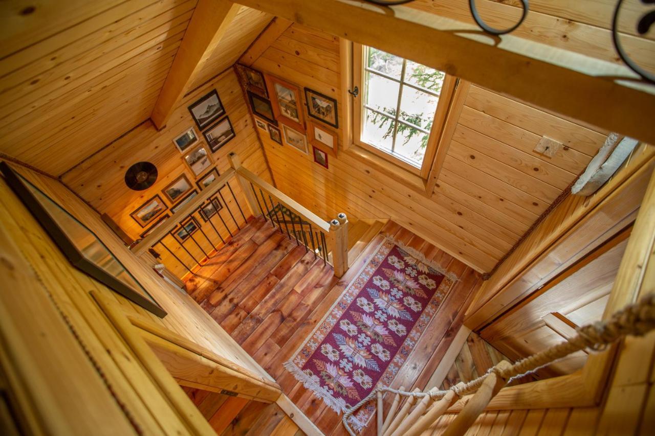 Villa Piccolo Orso Žabljak Zewnętrze zdjęcie